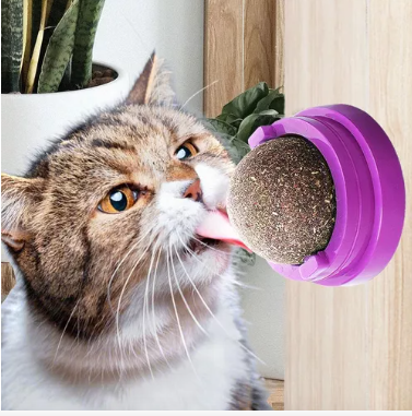 Packs de bolitas giratorias de catnip para gatos